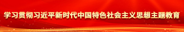 插骚逼操骚逼网站学习贯彻习近平新时代中国特色社会主义思想主题教育